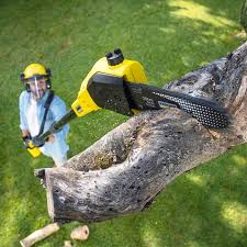 Best Lawn Grading and Leveling  in Twain Harte, CA